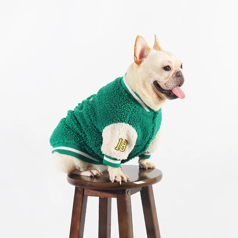 Green fleece-lined winter coat for dogs on larger breed in cotton fabric