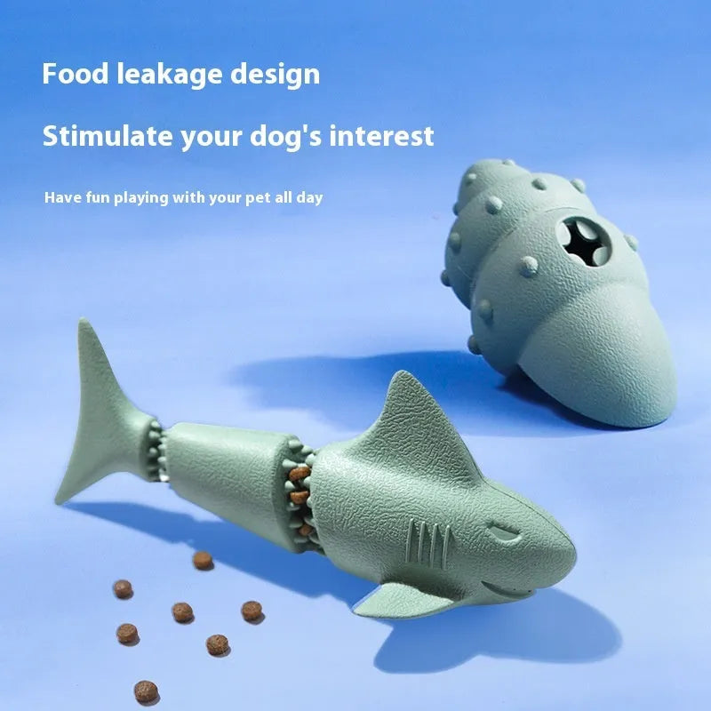 Blue and green rubber dog toys shaped like conch shells and starfish with shark texturing