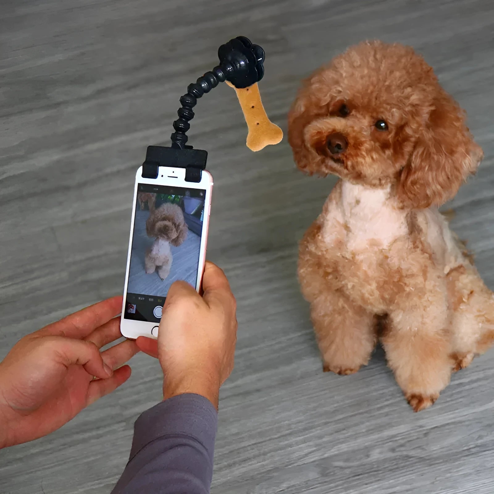 Black pet photography clip with rotating treat holder attached to mobile phone