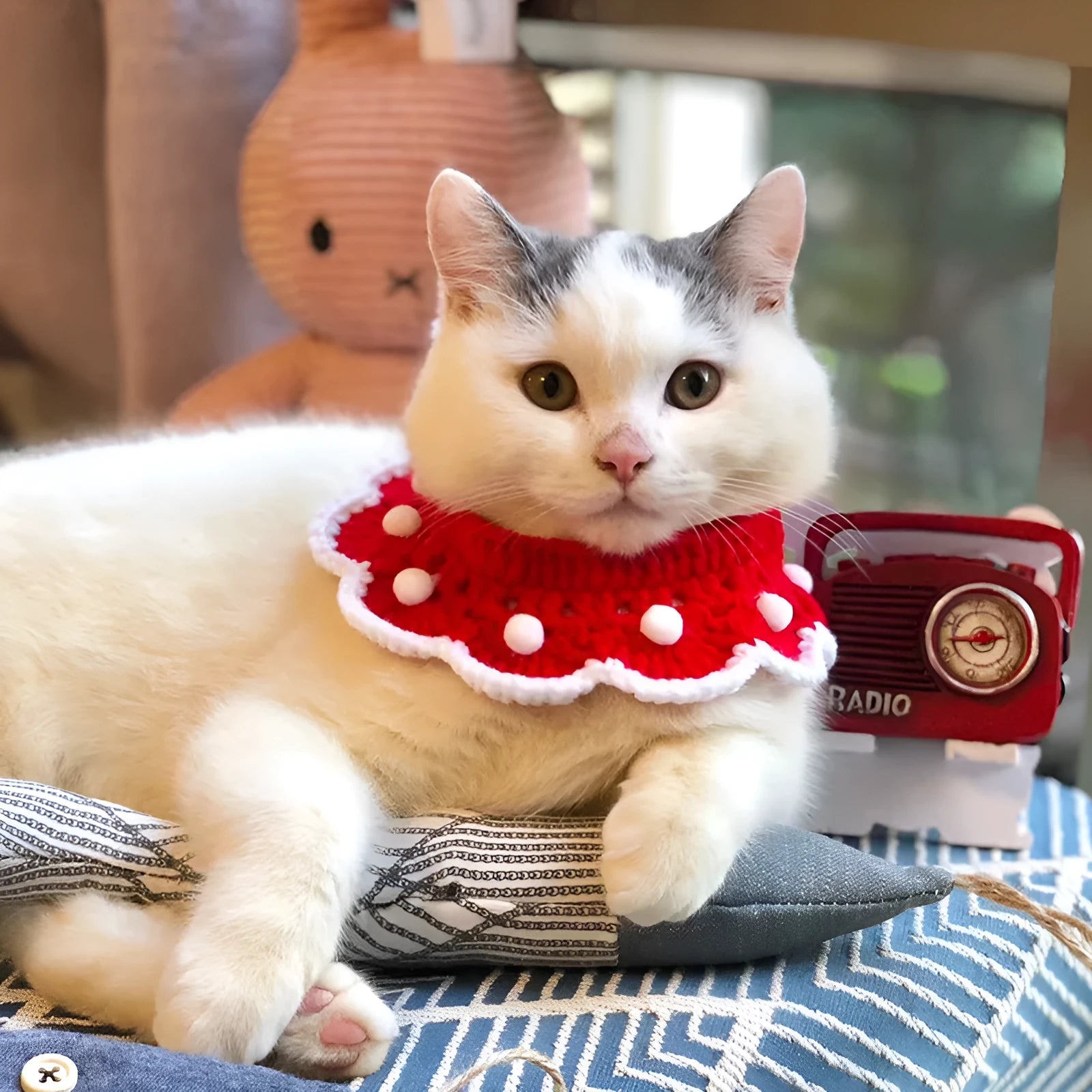 Cartoon pattern wool knitted collar for pets in four sizes with milk cotton construction