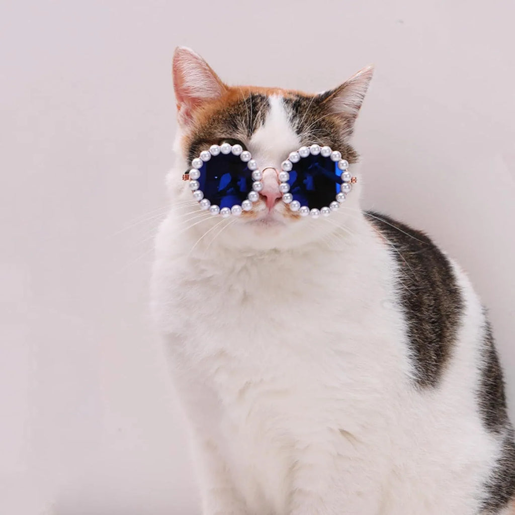 Pearl-rimmed round sunglasses for cats and dogs in five colour options with two size choices