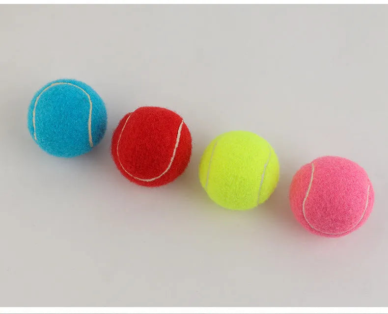 Bite-resistant rubber dog tennis ball toy in assorted colours, 6.3 cm in size.