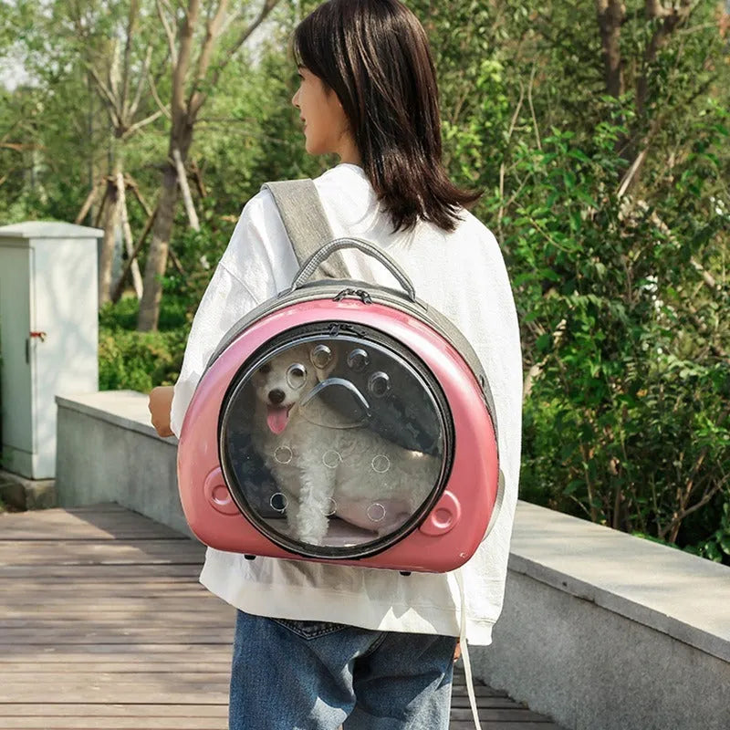 Transparent space capsule style cat carrier bag in PC canvas with Rose Gold front cover.