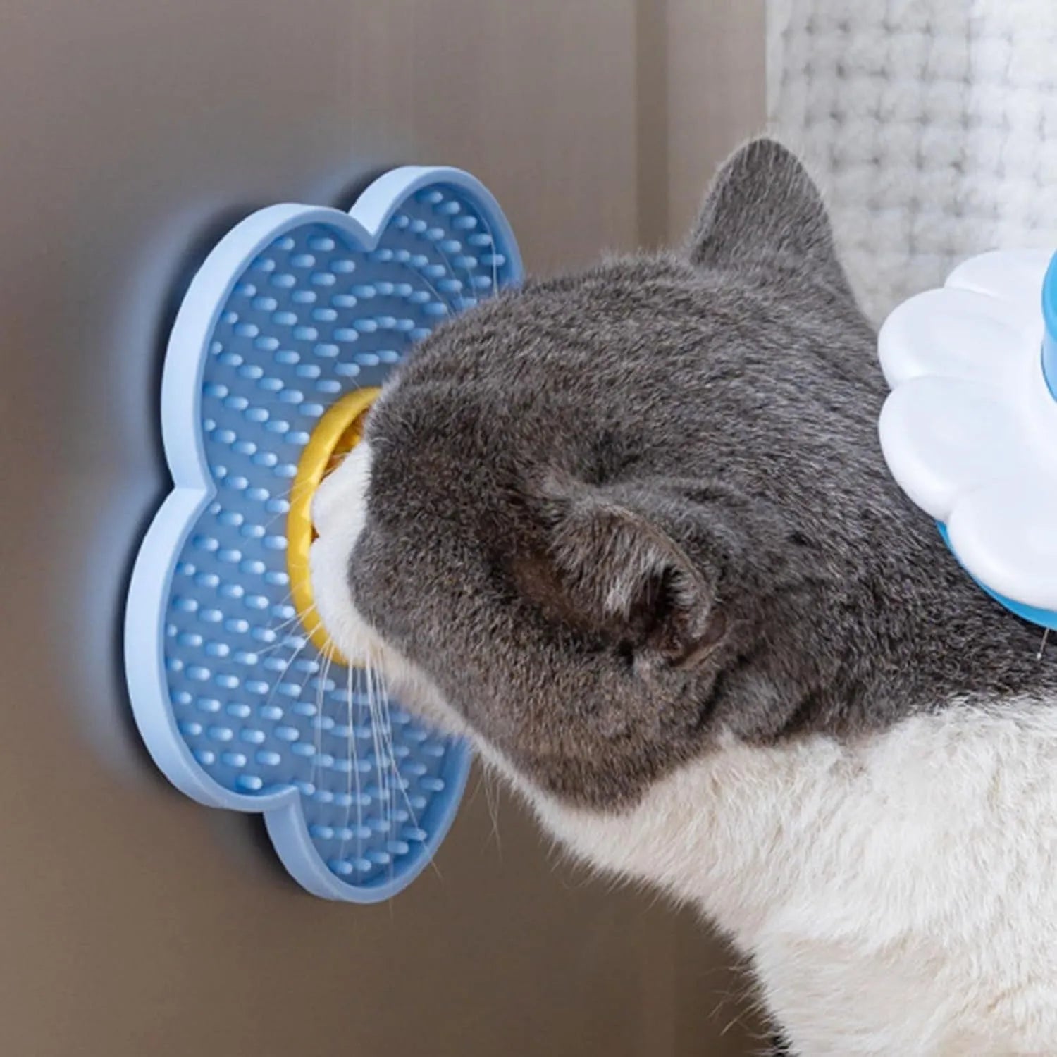 Flower-shaped silicone pet lick mat in assorted colours with suction cups on the base.
