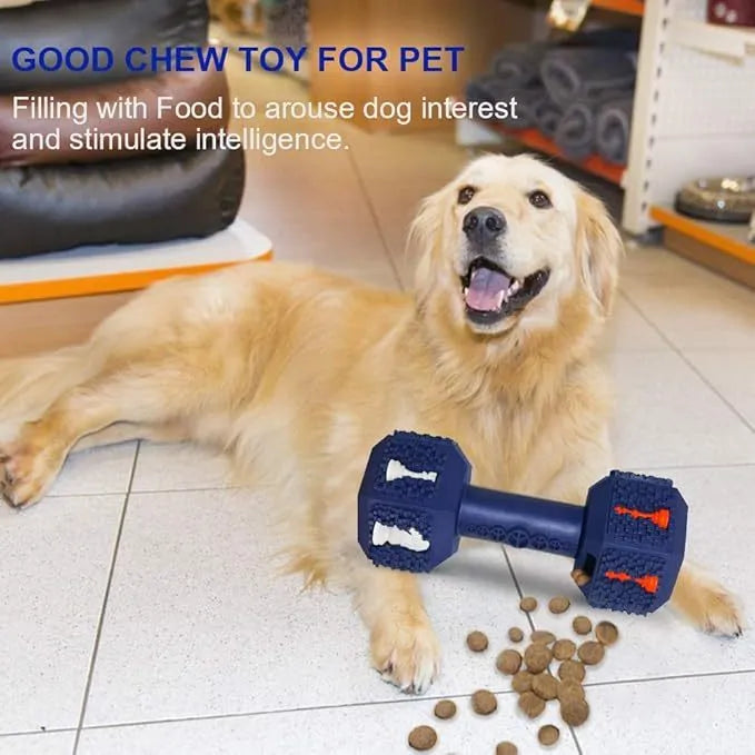 Rubber dumbbell dog chew toy for aggressive chewers with 3D texture and hollow treat compartments