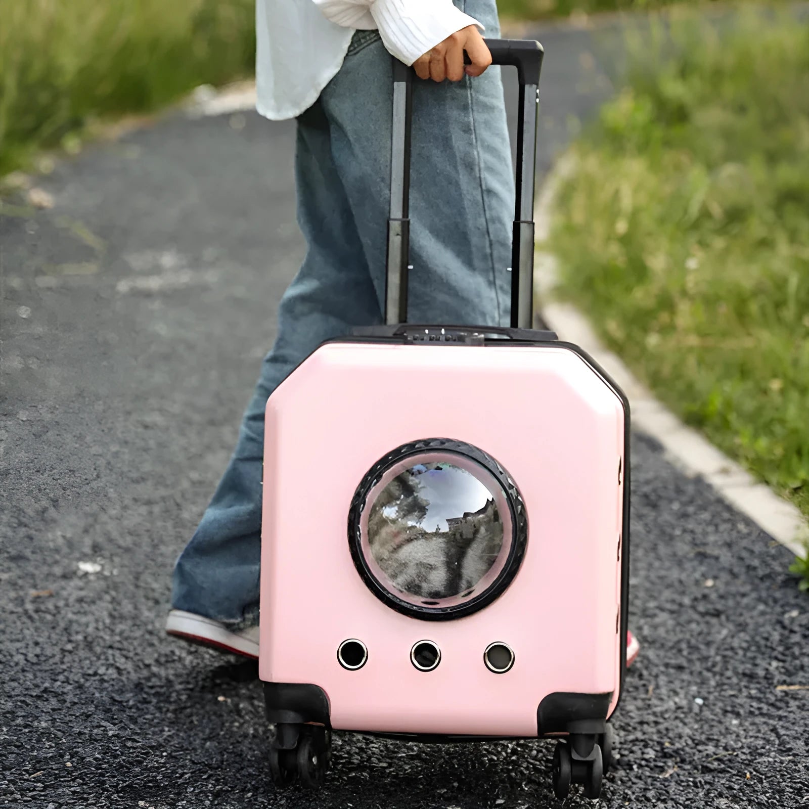 A hard-shell pink pet flight case with wheels and a pull handle, shown as a trolley-style cat carrier.