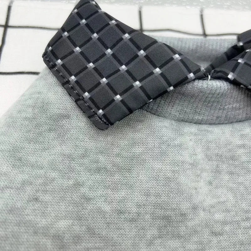 Grey dog jumper with detachable collar hood on small breed dog