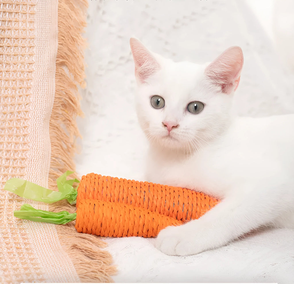 Carrot-shaped paper cat toys with ringing stones and self-grooming sticks in small and large sizes