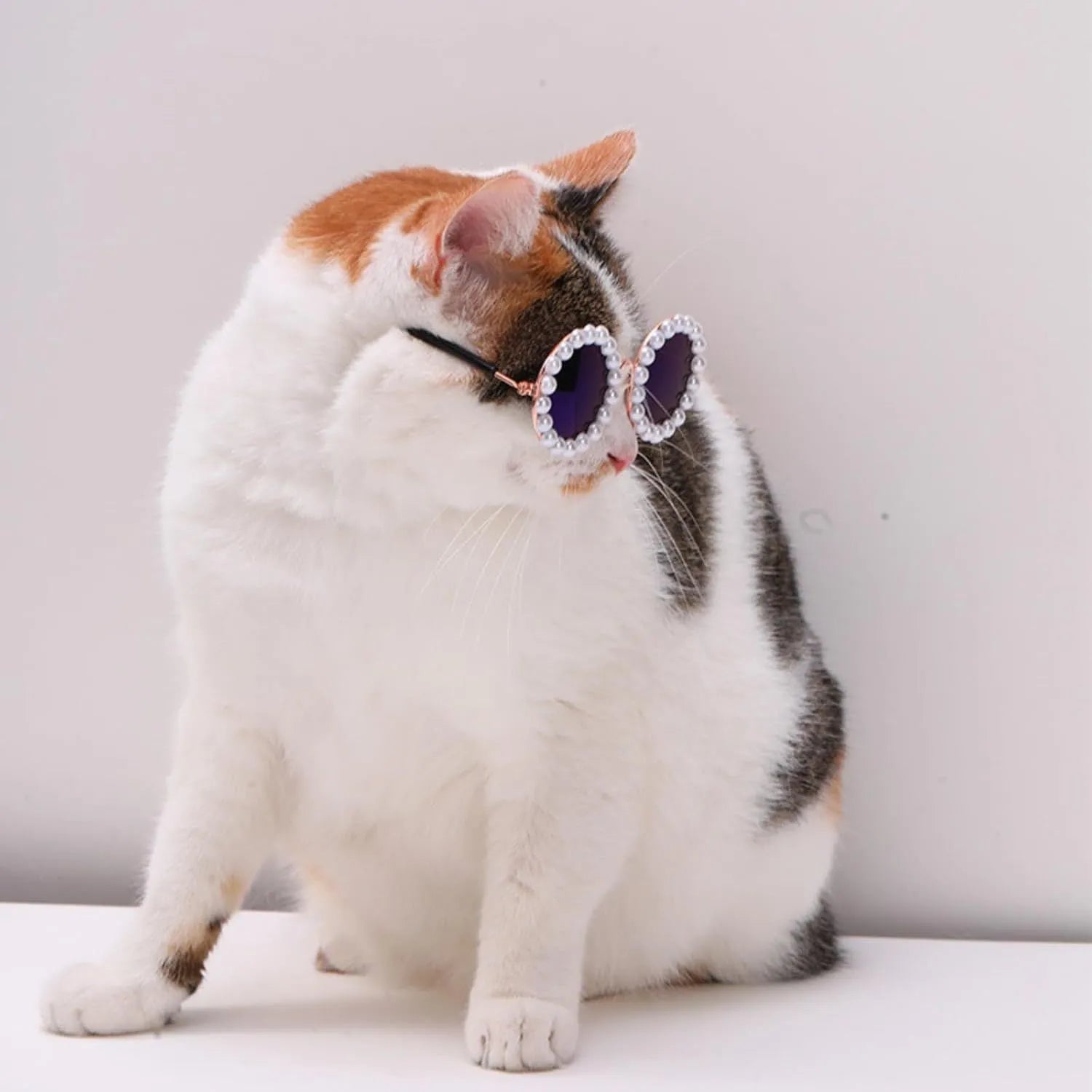 Pearl-rimmed round sunglasses for cats and dogs in five colour options with two size choices