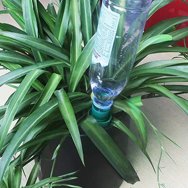 Green ceramic plant water dripper attached to cola bottle for automatic flower irrigation