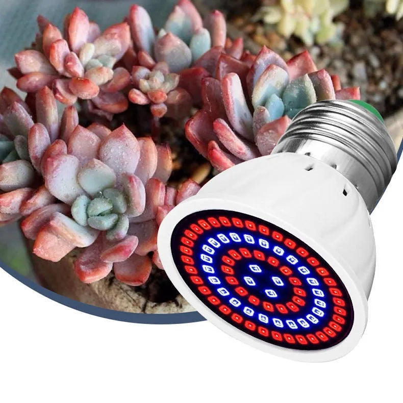 White LED grow light with 80 beads for indoor plant illumination covering 30-80cm² areas
