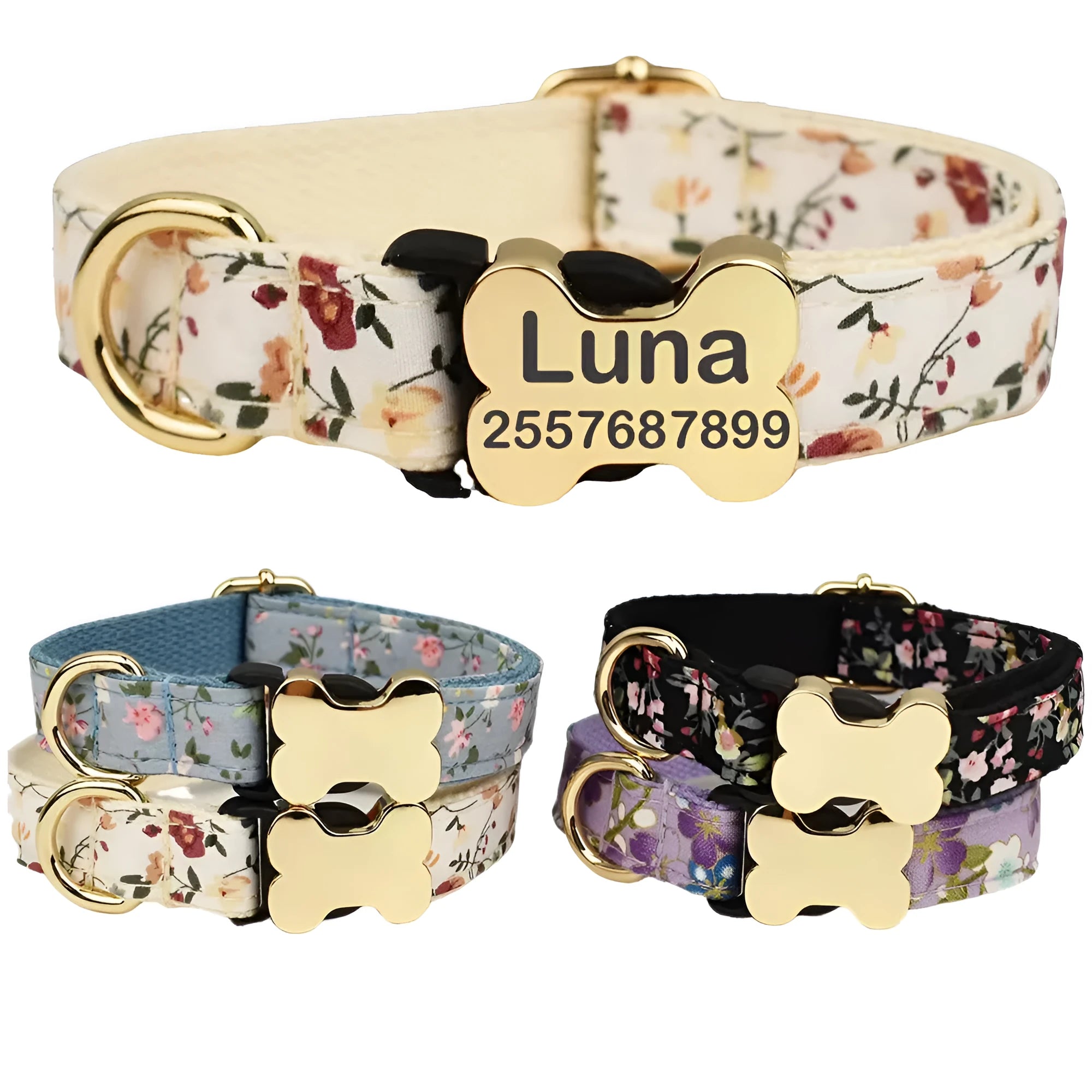 Flat nylon dog collar with bone buckle in assorted colours on a white background.