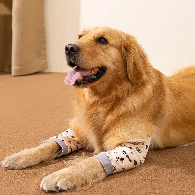 Dog wearing blue knee protector with extra-thick elbow padding and matching scarf