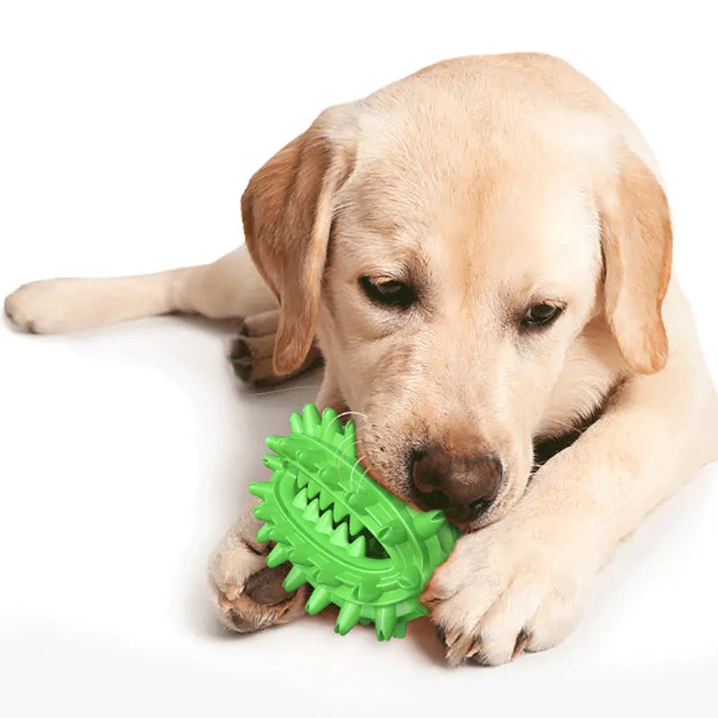 Green and yellow cactus-shaped dog toothbrush toy for aggressive chewers with dental cleaning bumps