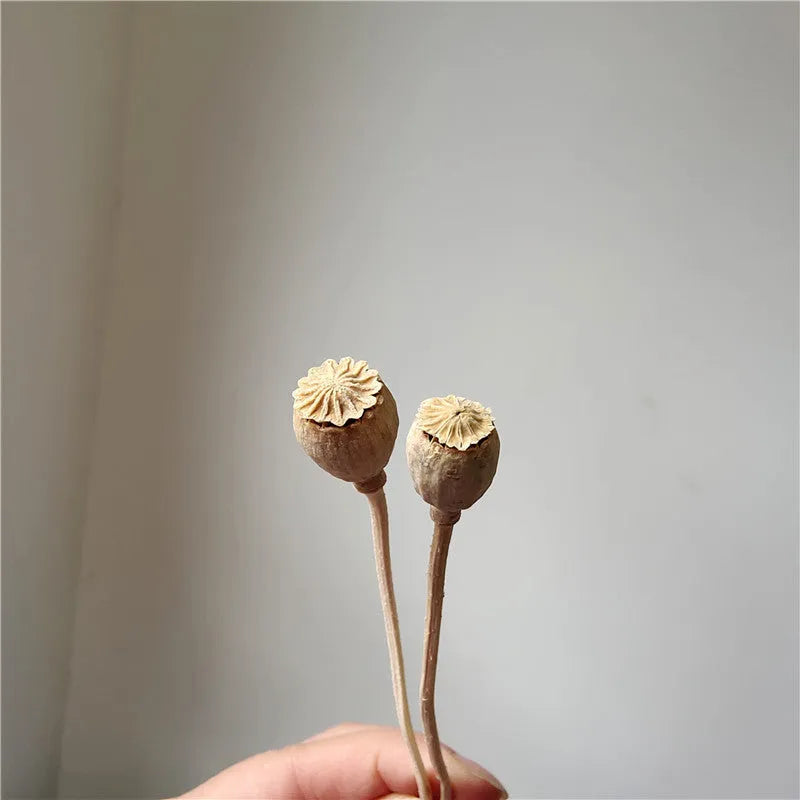 Dried flower Yu Meiren fruit DIY material bundle in multiple colours for corsage and headdress making