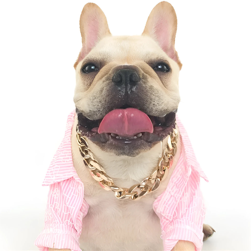 Gold chain dog collar with twisted piece chain design for small to medium dogs, adjustable from 21cm to 50cm