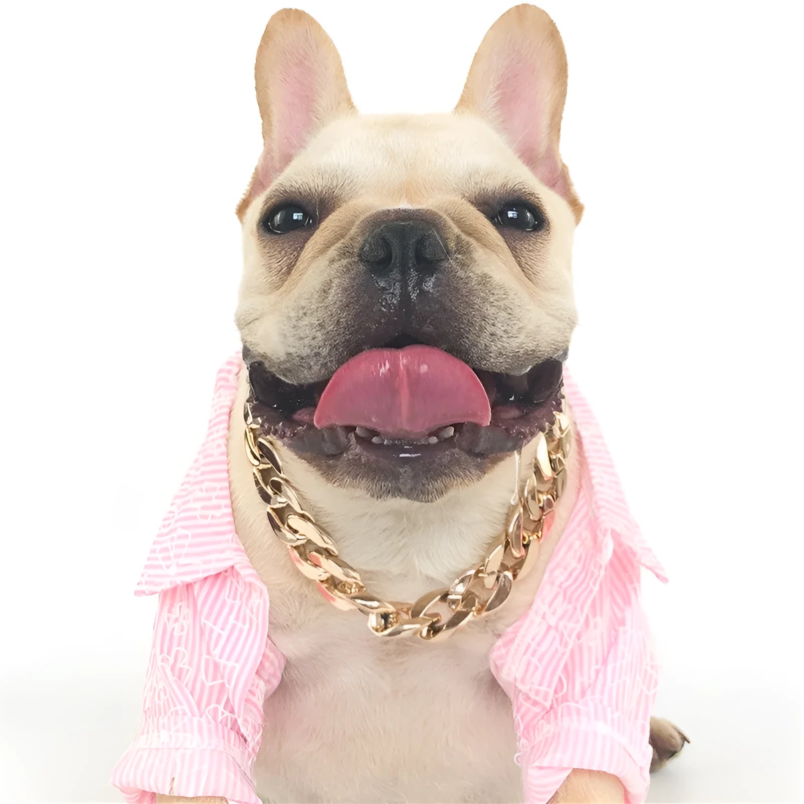 Gold chain dog collar with twisted piece chain design for small to medium dogs, adjustable from 21cm to 50cm