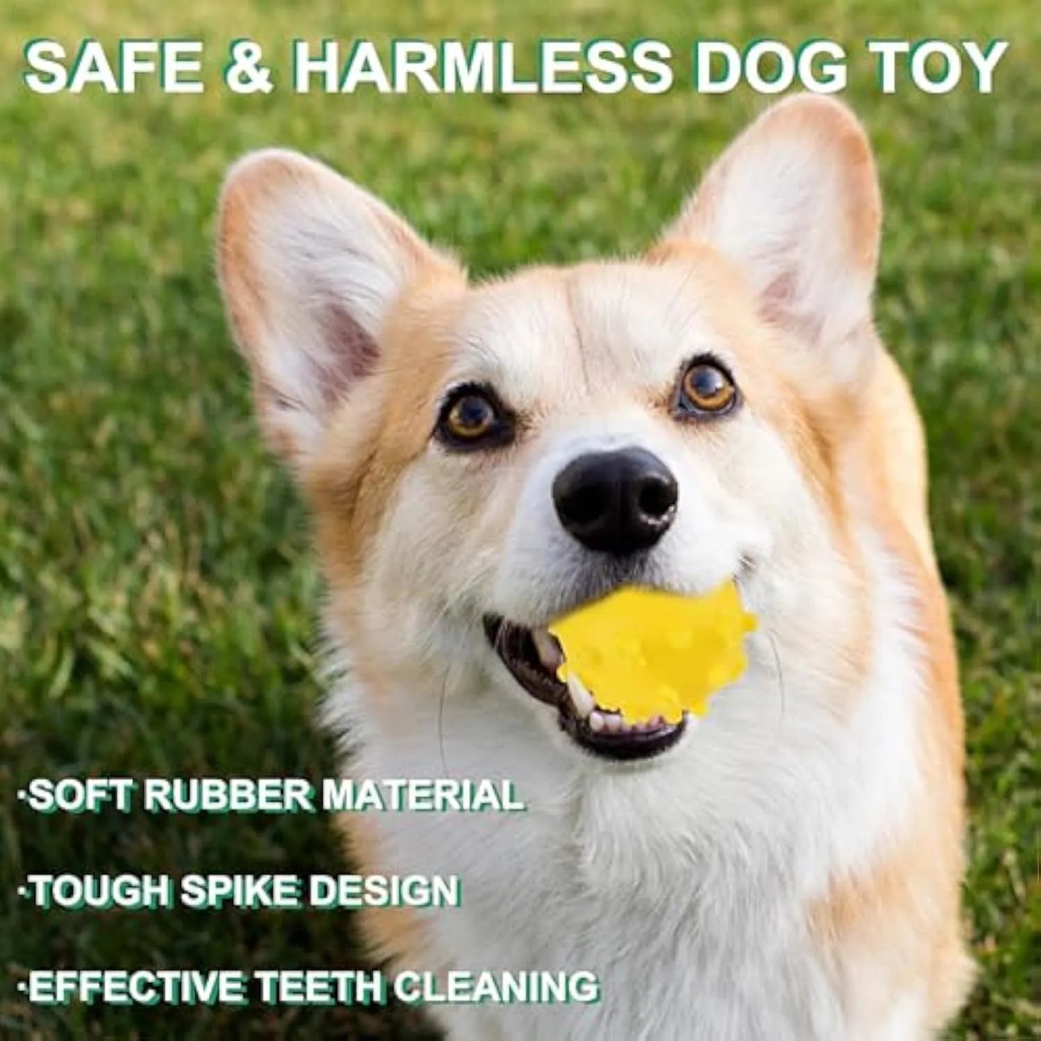 Bright coloured spike-textured dog toy balls with squeaker for small breed dogs