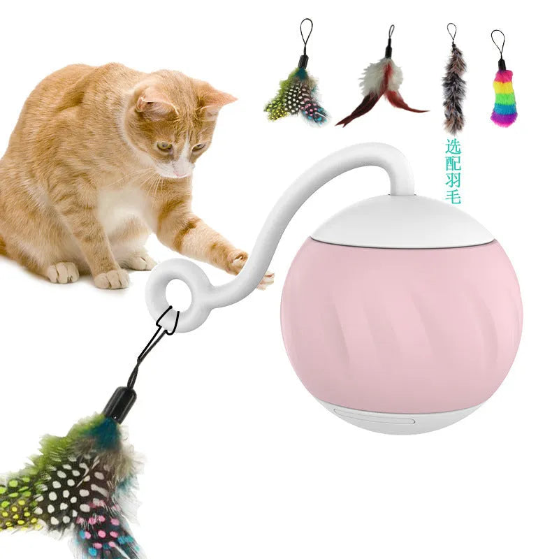 Electric cat toy with LED lights in watermelon and pumpkin designs showing automatic movement feature