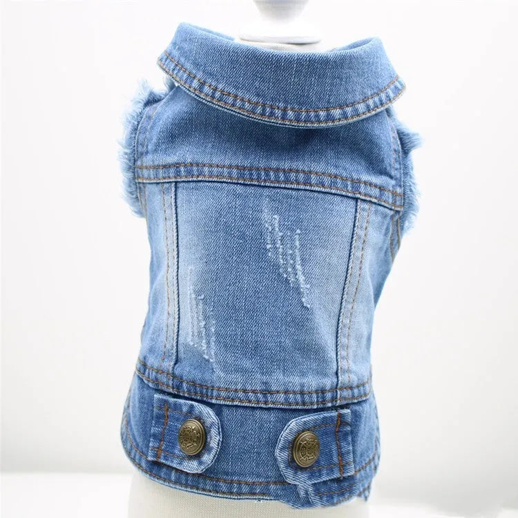 Blue denim dog vest with a retro scratch pattern on a small white dog, showing sizes for Teddy and Bichon breeds.