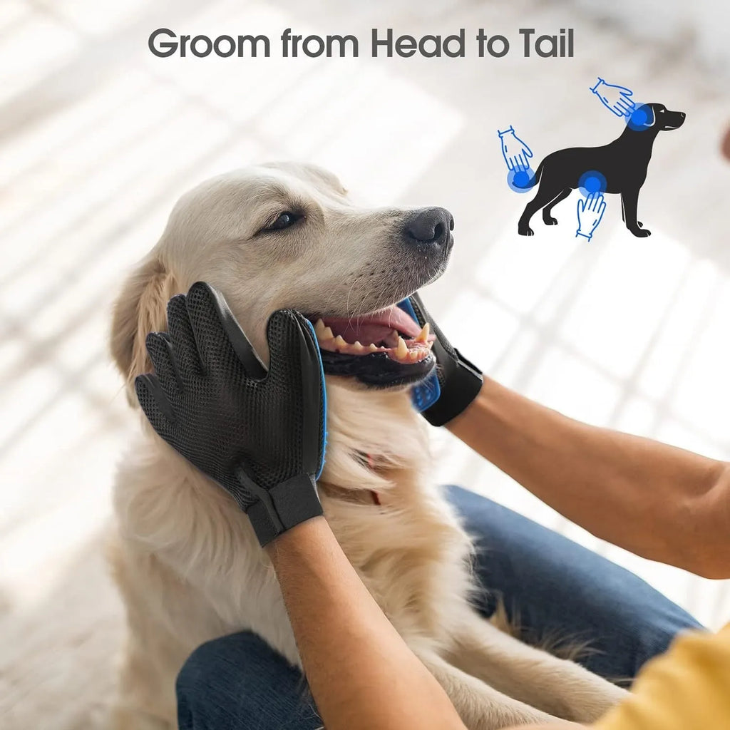 Blue pet grooming gloves with silicone tips for brushing cats and dogs