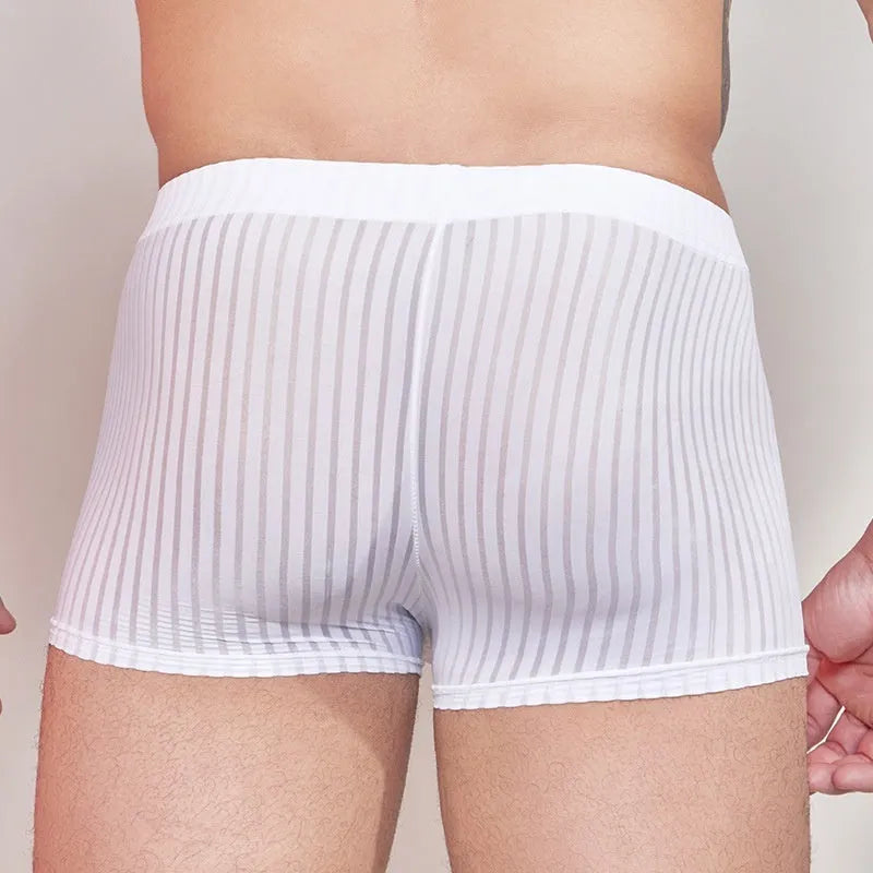 Men's black and white striped thin nylon underwear laid flat.