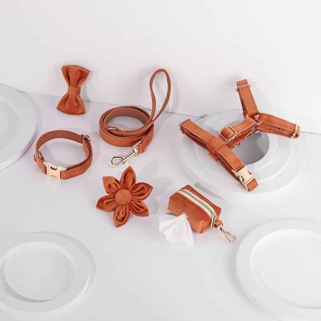 Classic velvet pet collar and traction rope set with chest strap, bow tie, flower, and toilet bag in multiple colour options.