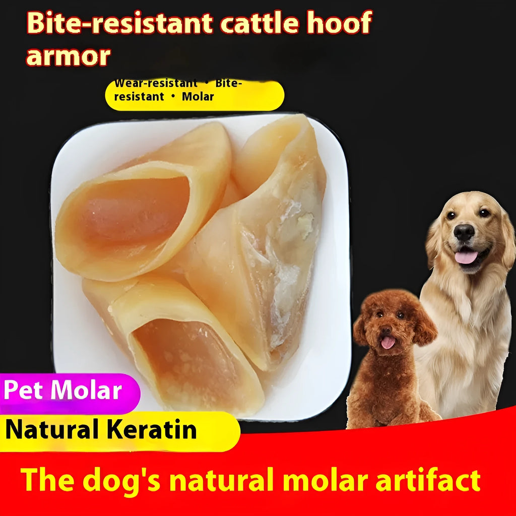 Natural cowhide anti-bite dog chew snack in hoof shell colour with size options for small and large dogs