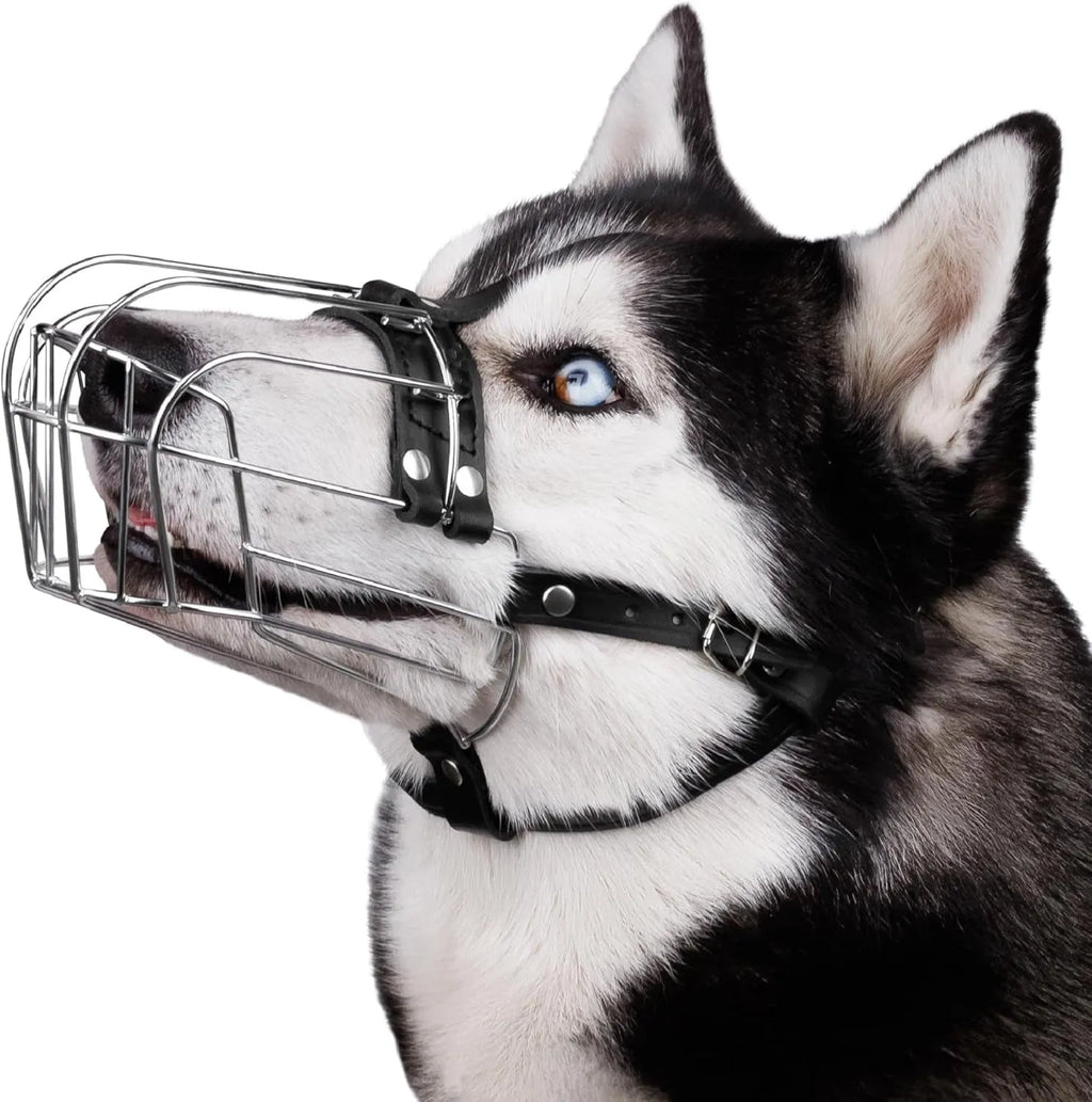 Black metal basket muzzle for Golden Retriever or German Shepherd dogs