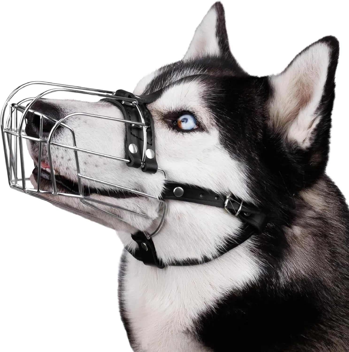 Black metal basket muzzle for Golden Retriever or German Shepherd dogs