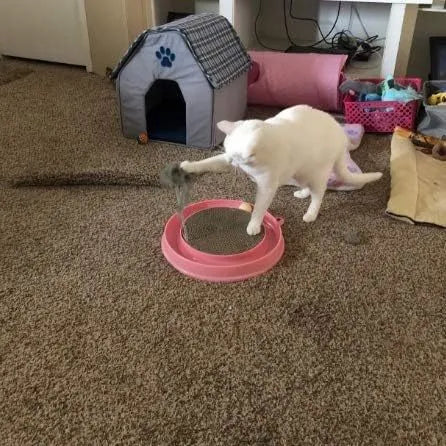 Blue interactive cat scratcher toy with a round scratching pad, ball track, and a mouse swatter on a circular base.