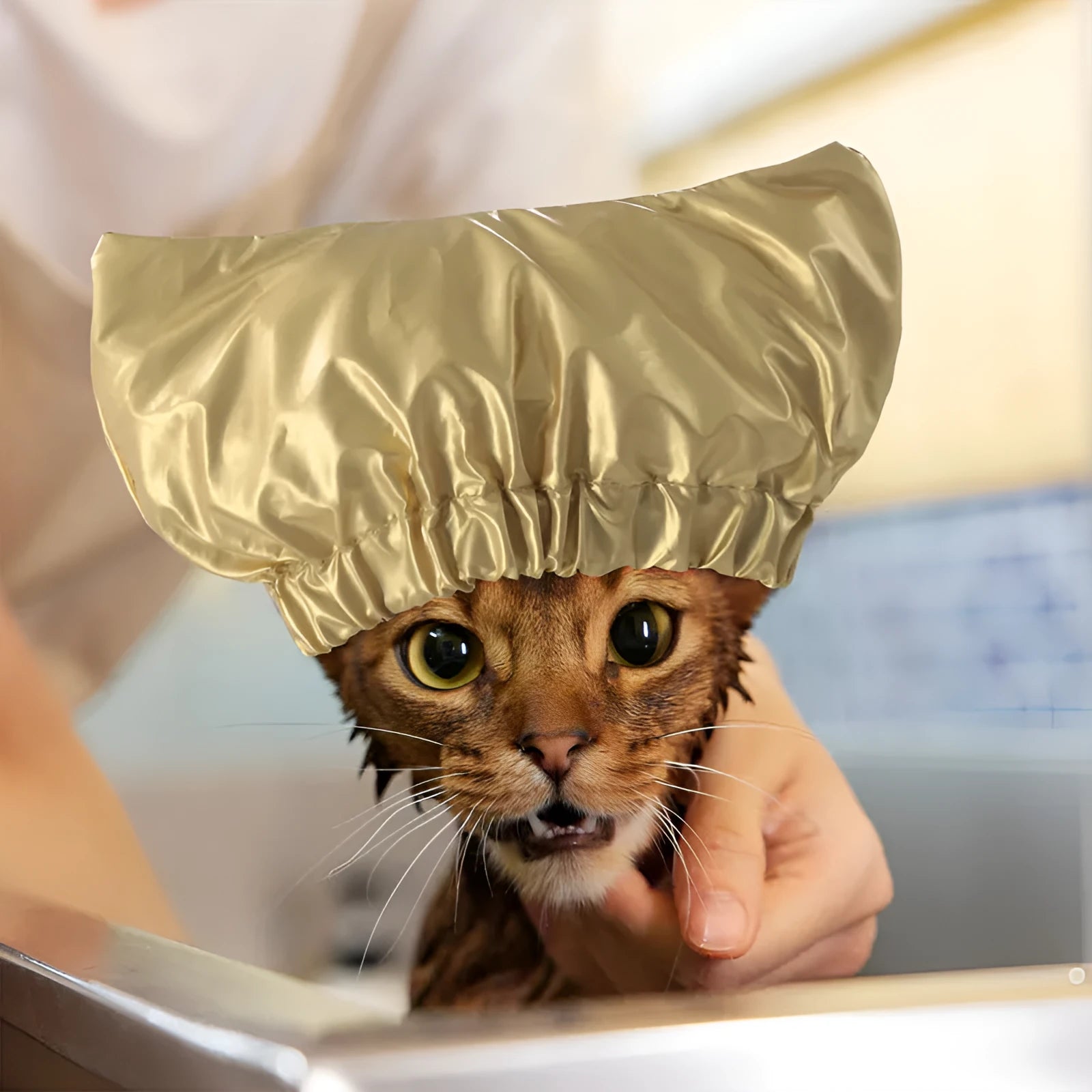 Adjustable non-woven fabric shower cap for pet ears in silver, pink, and gold colours