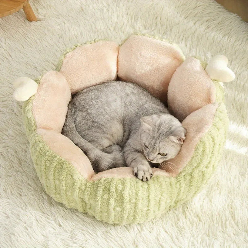 Cactus-patterned soft cat litter kennel for pets in green or purple colour