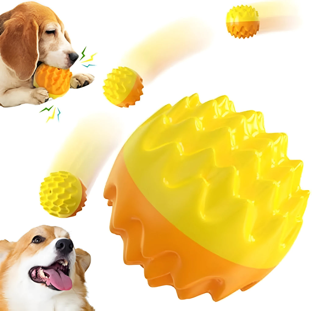 Blue rubber dog ball toy with spiky texture and squeaker for dental cleaning and water fetch