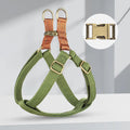 Brown vest-style dog leash with alloy fastener shown on a model dog.