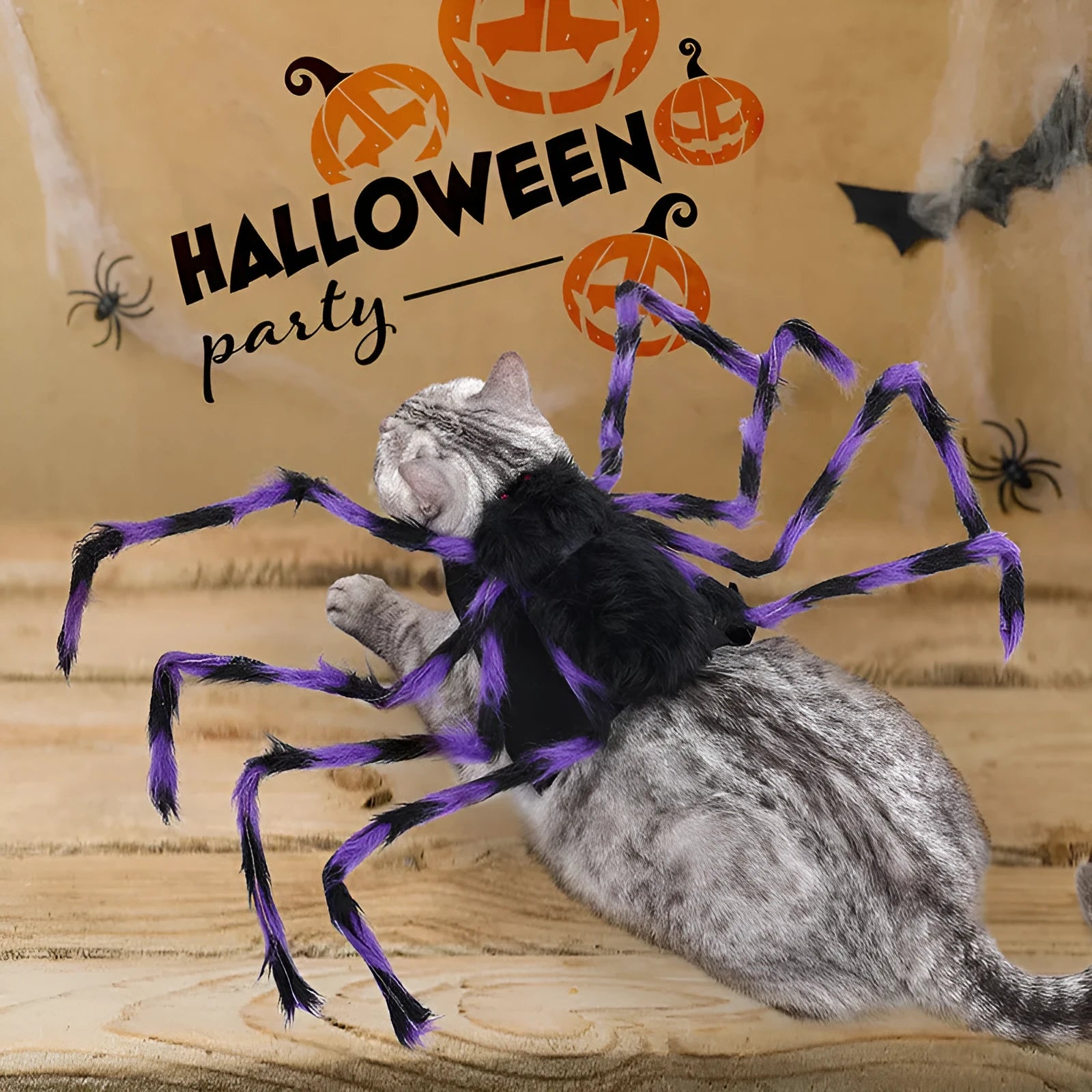 Halloween spider costume for pet dog or cat in black and purple colour