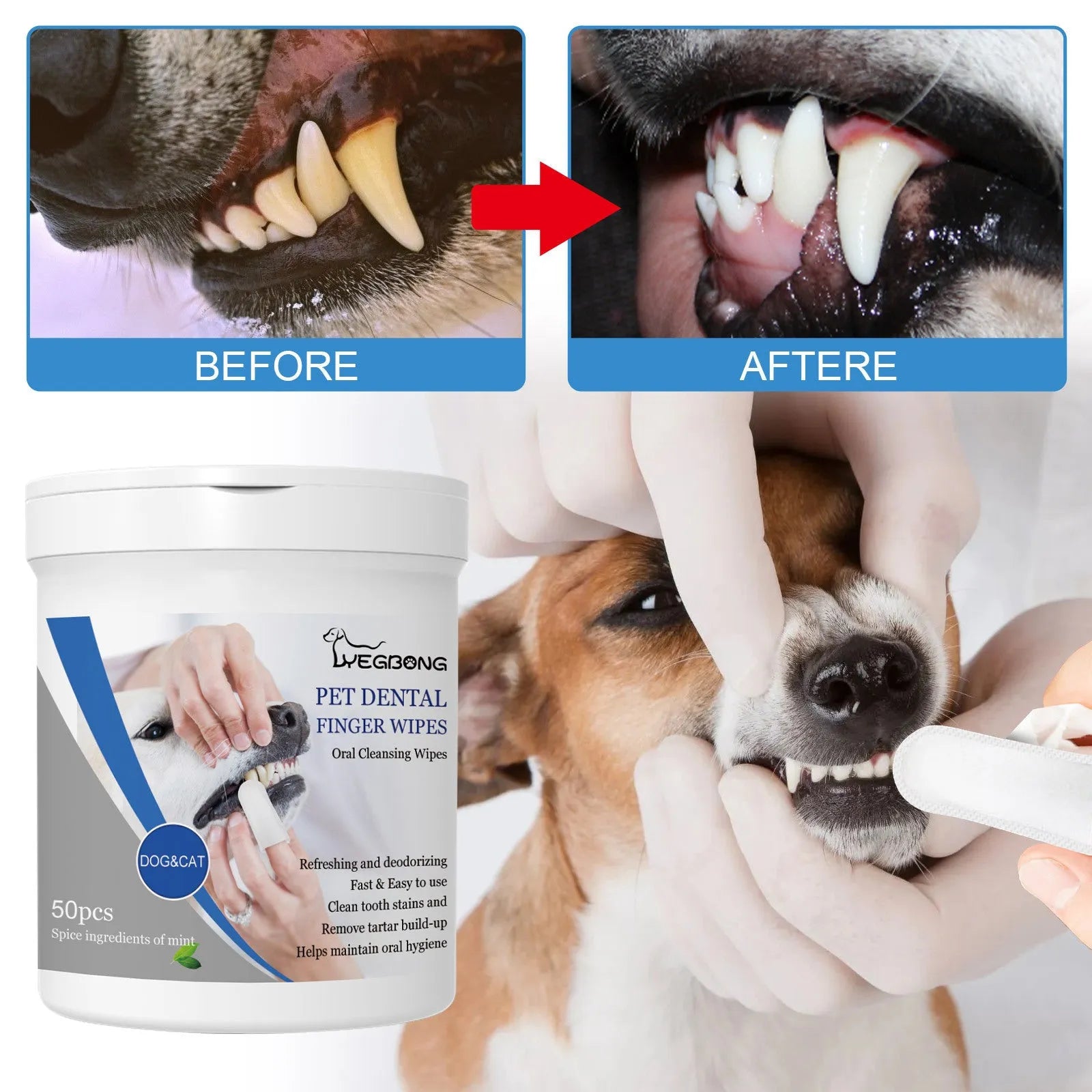 Can of dog dental finger wipes with reusable stall applicator for teeth cleaning