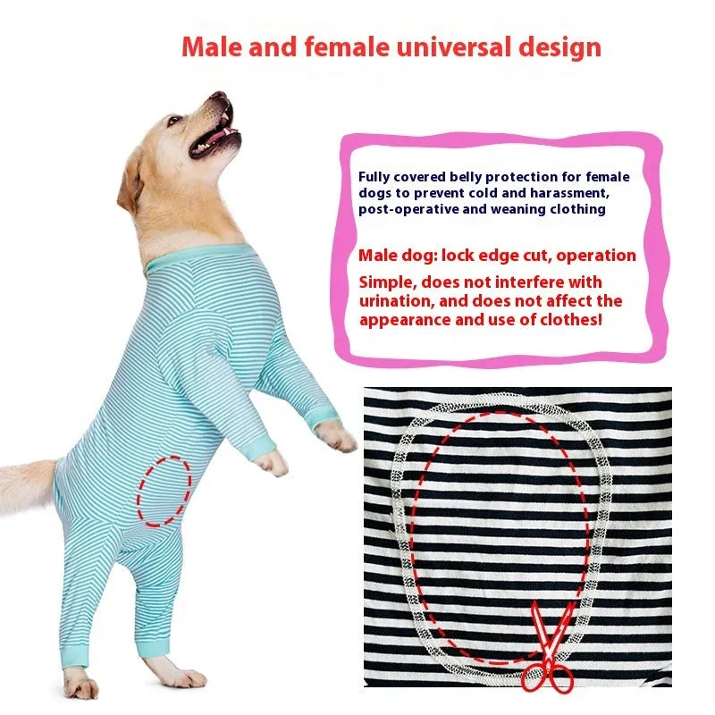 Thin polyester striped dog shirt on a golden retriever, showing sky blue, black dark blue stripe, and brown colour options
