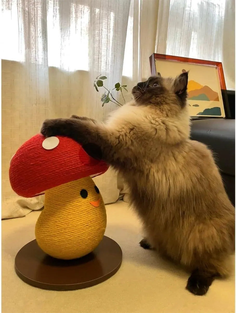 Round foldable accordion cat scratcher board made from corrugated cardboard measuring 35x30x30cm