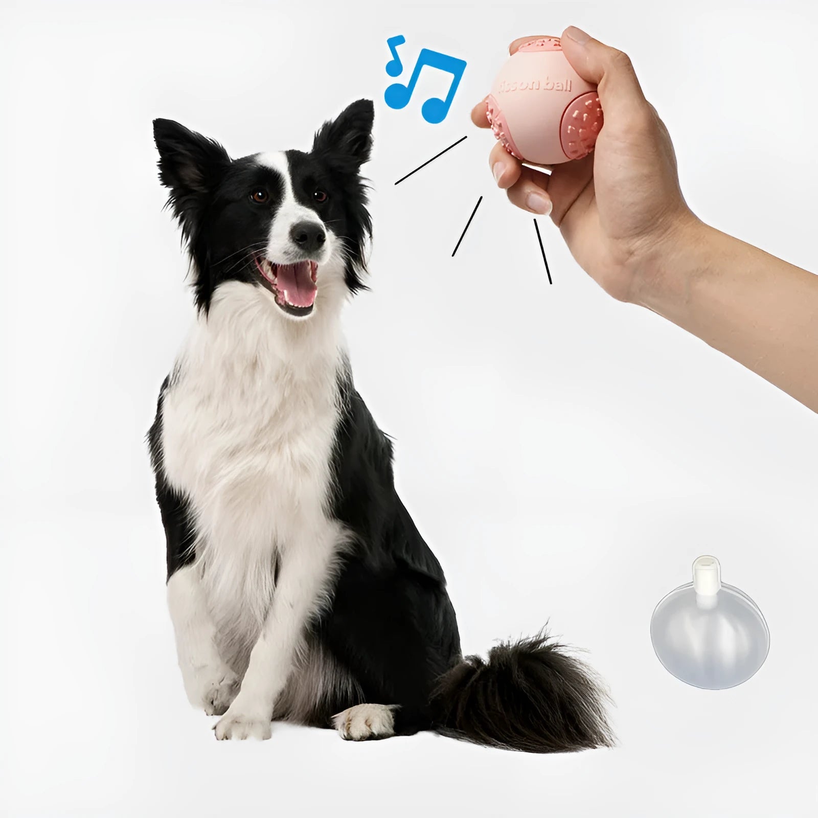 Green and pink rolling ball dog toy with 64mm diameter for interactive motion play