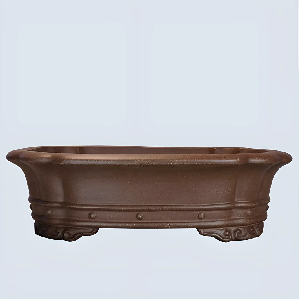 Purple clay rectangular begonia flower pot 51x41cm on desktop