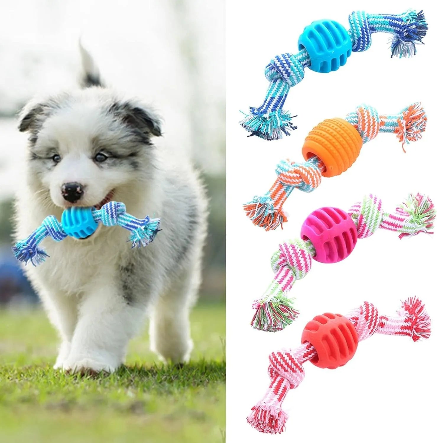 Set of four colourful soft dog chew toys with molar shapes and rope ends on a white background.