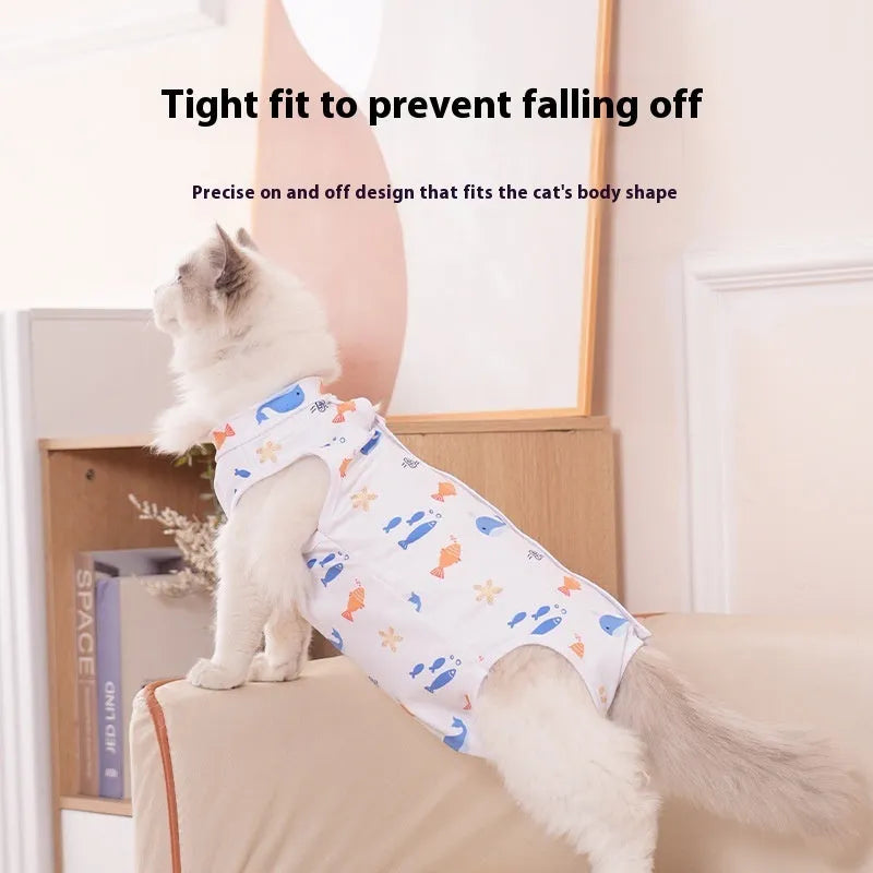 A cat wearing a blue polyester recovery suit with Velcro fastenings after sterilisation surgery.