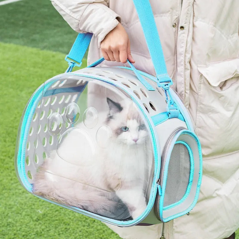 Transparent hard EVA cat backpack carrier in space capsule design with backpack straps