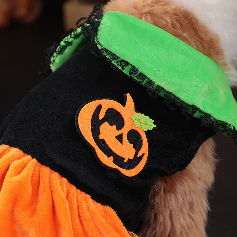 Halloween pumpkin costume for small dog, crystal velvet skirt and sweater options shown.