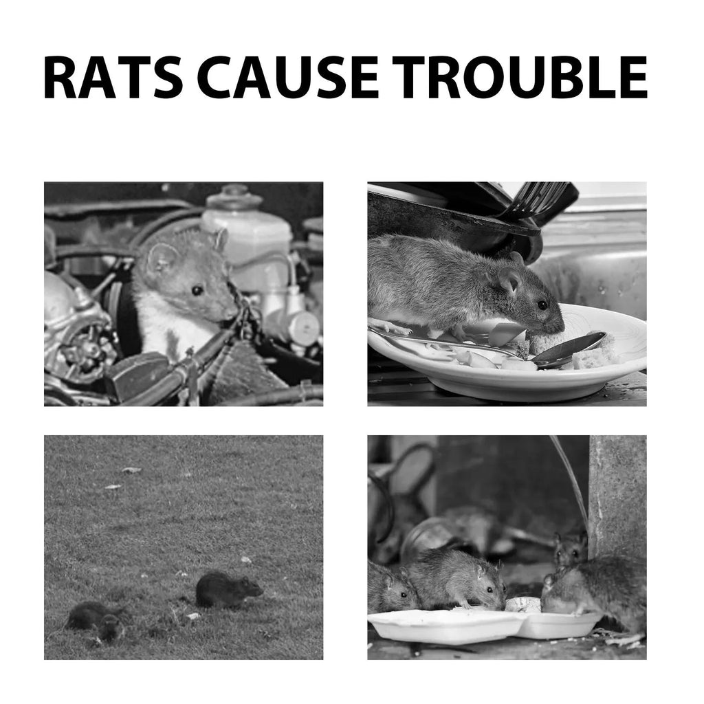 60ml natural rat repellent spray bottle with essential oil formula for rodent control
