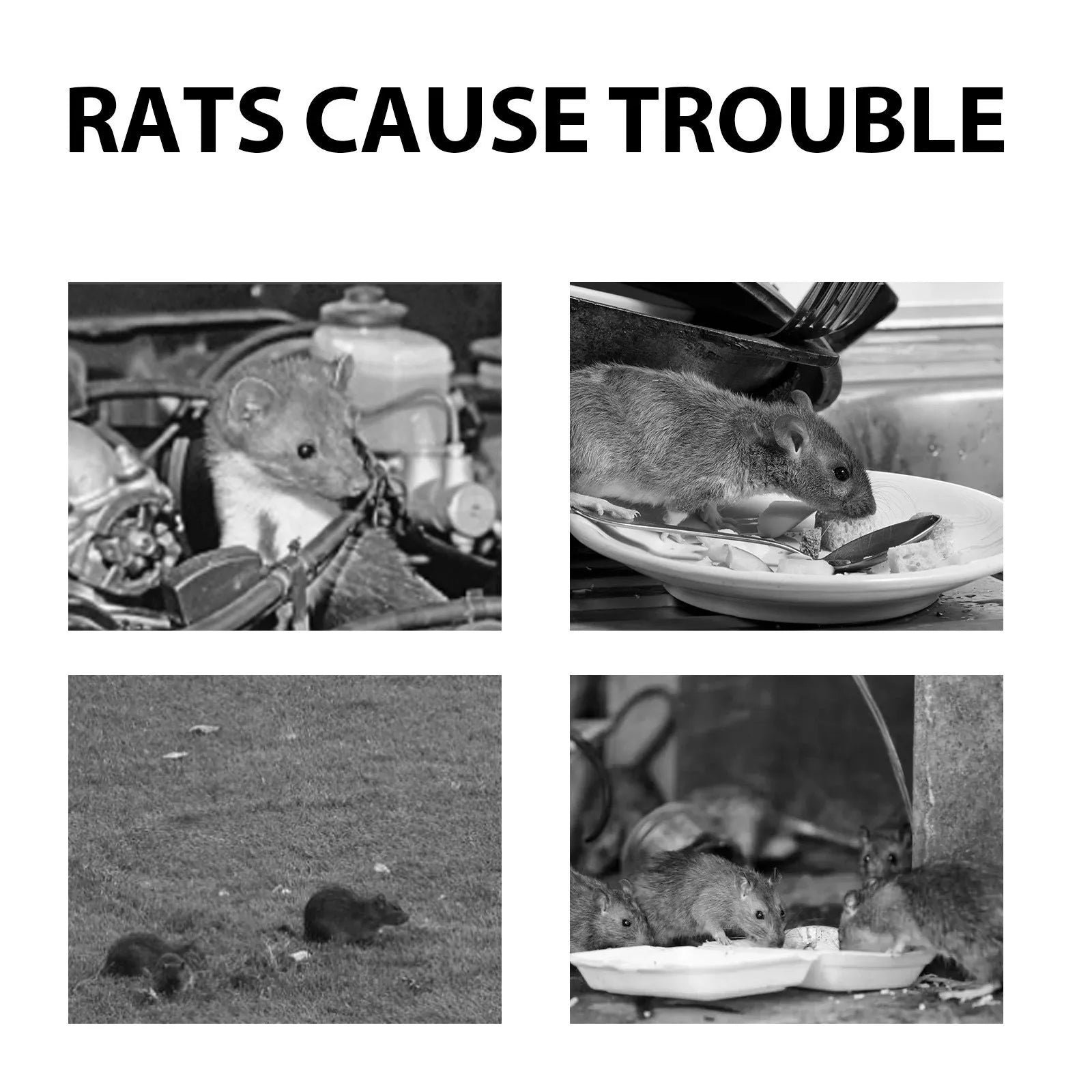 60ml natural rat repellent spray bottle with essential oil formula for rodent control