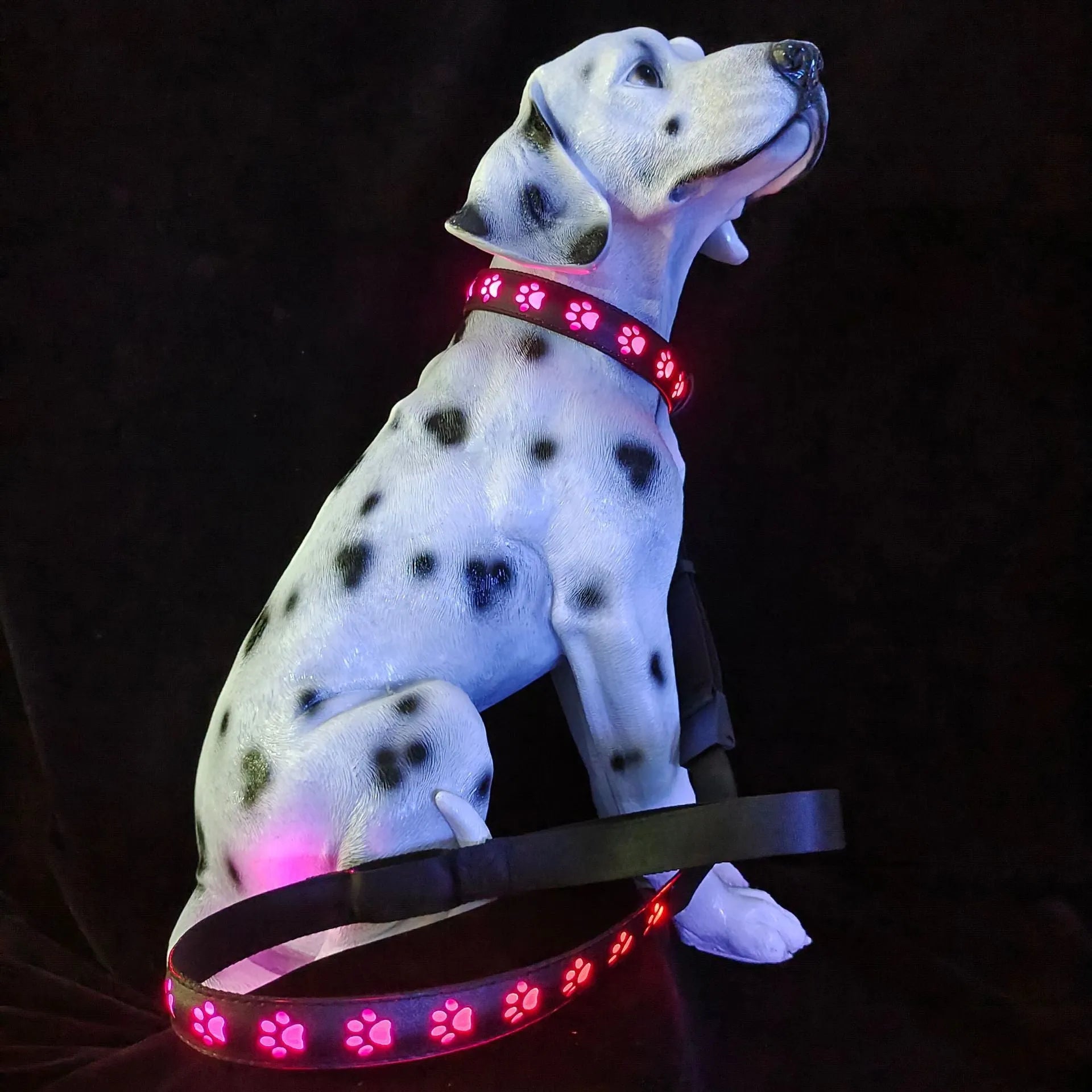 A cat wearing a polyester LED luminous collar displaying multiple colours, with a USB charging cable nearby.