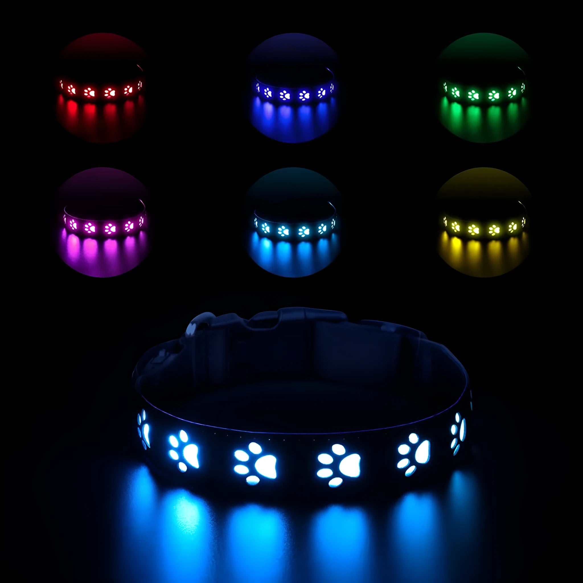 A cat wearing a polyester LED luminous collar displaying multiple colours, with a USB charging cable nearby.
