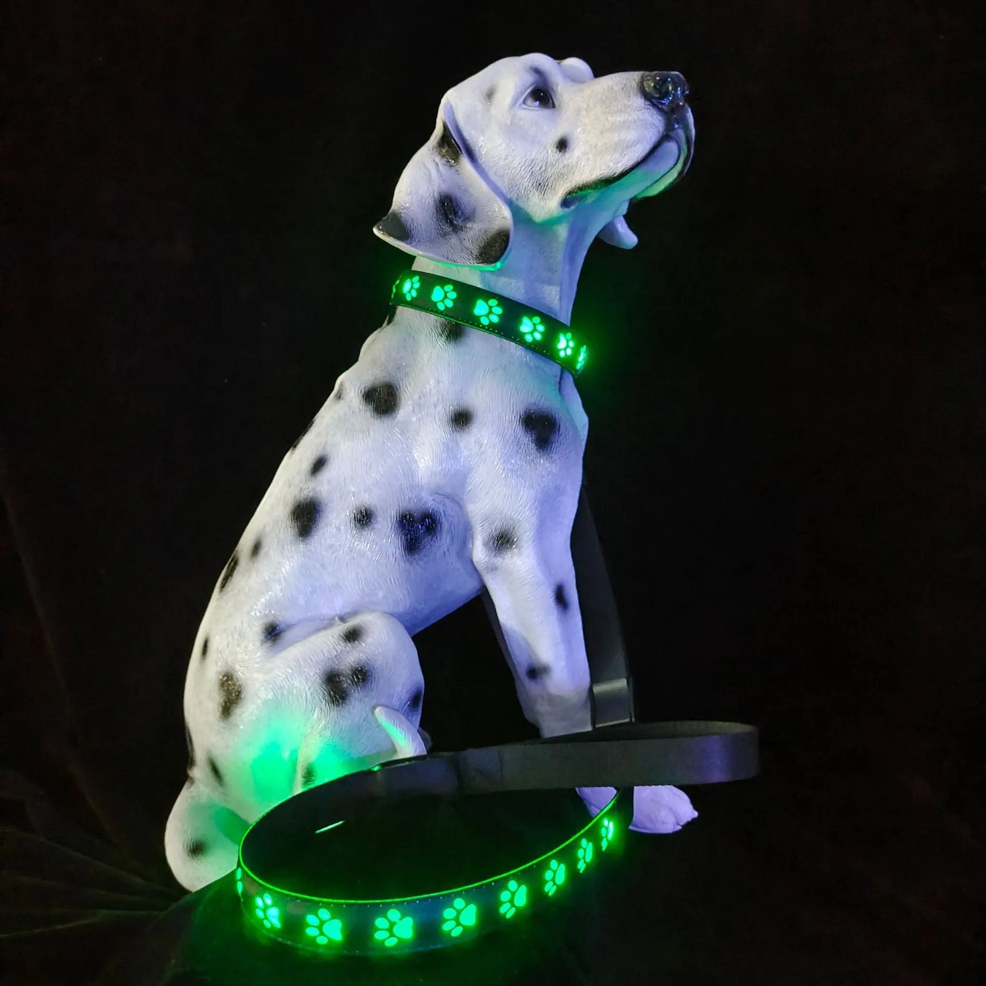 A cat wearing a polyester LED luminous collar displaying multiple colours, with a USB charging cable nearby.